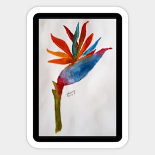 Bird of Paradise Painting Sticker